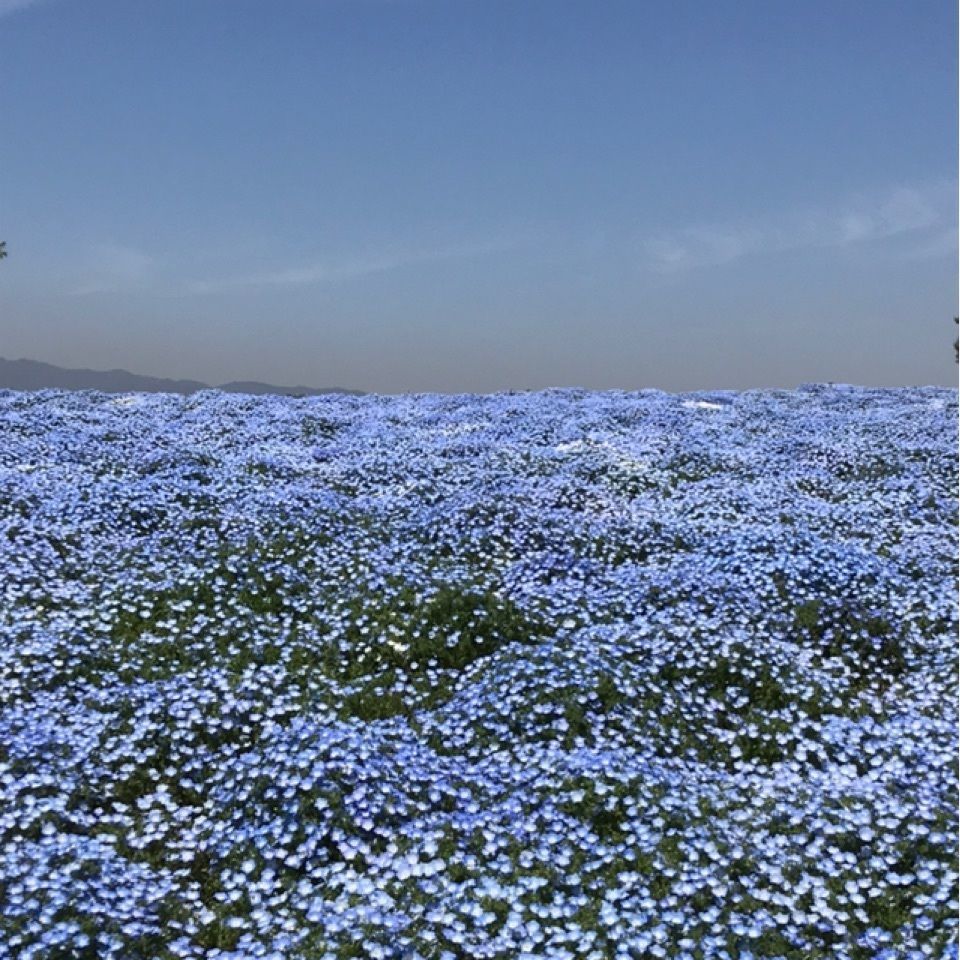 じゅん2さんが投稿した舞洲アリーナに関する口コミの画像