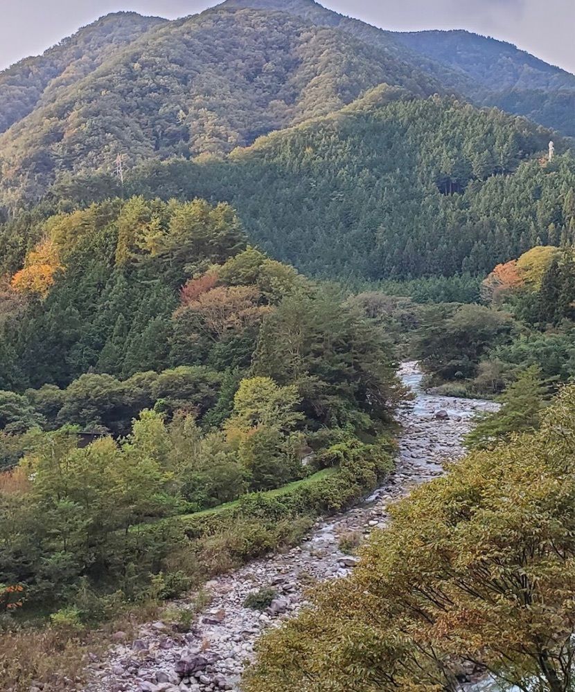 ＤＪゴン太さんが投稿した十字屋可否茶館昼神店に関する口コミの画像