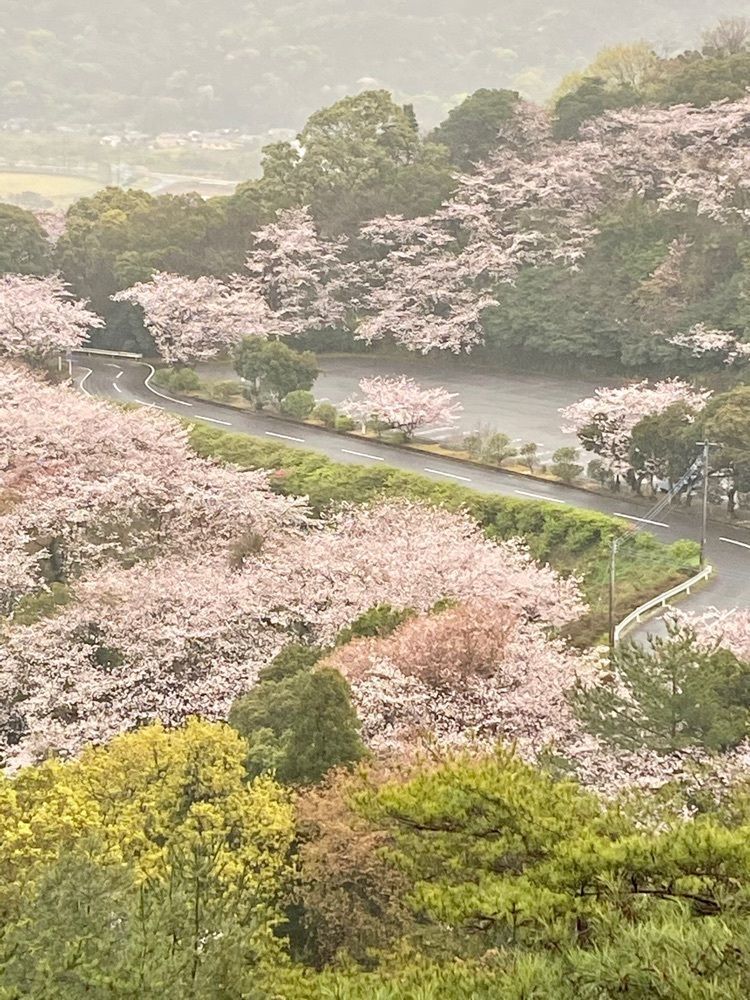 Rhapsodyさんが投稿した千巌山展望所に関する口コミの画像