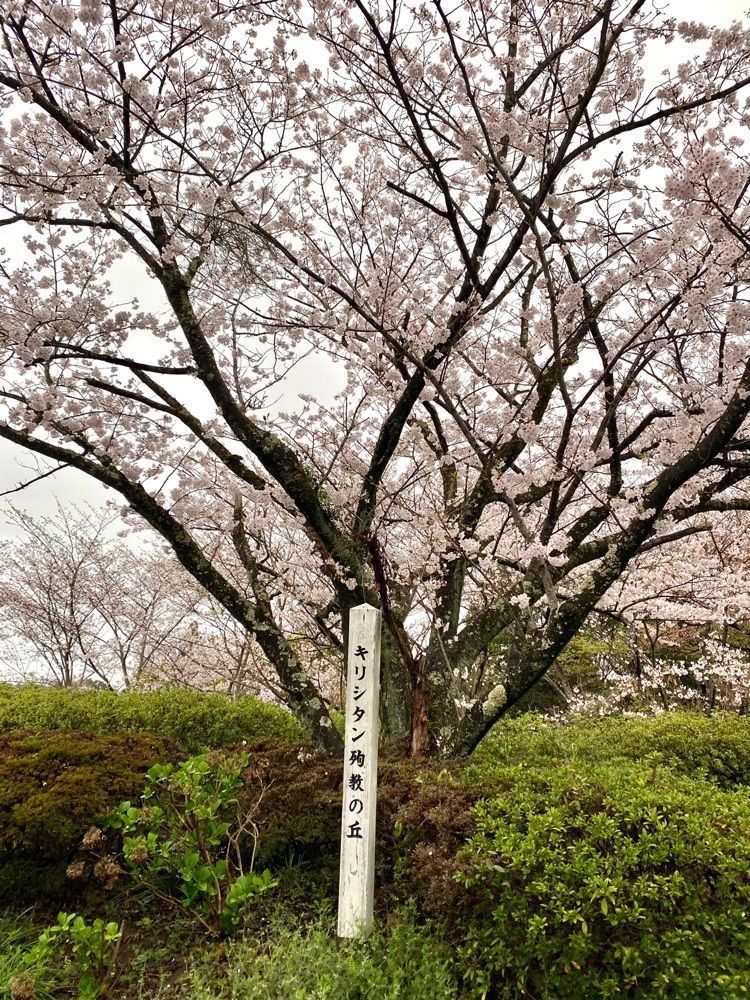 Rhapsodyさんが投稿した千巌山展望所に関する口コミの画像