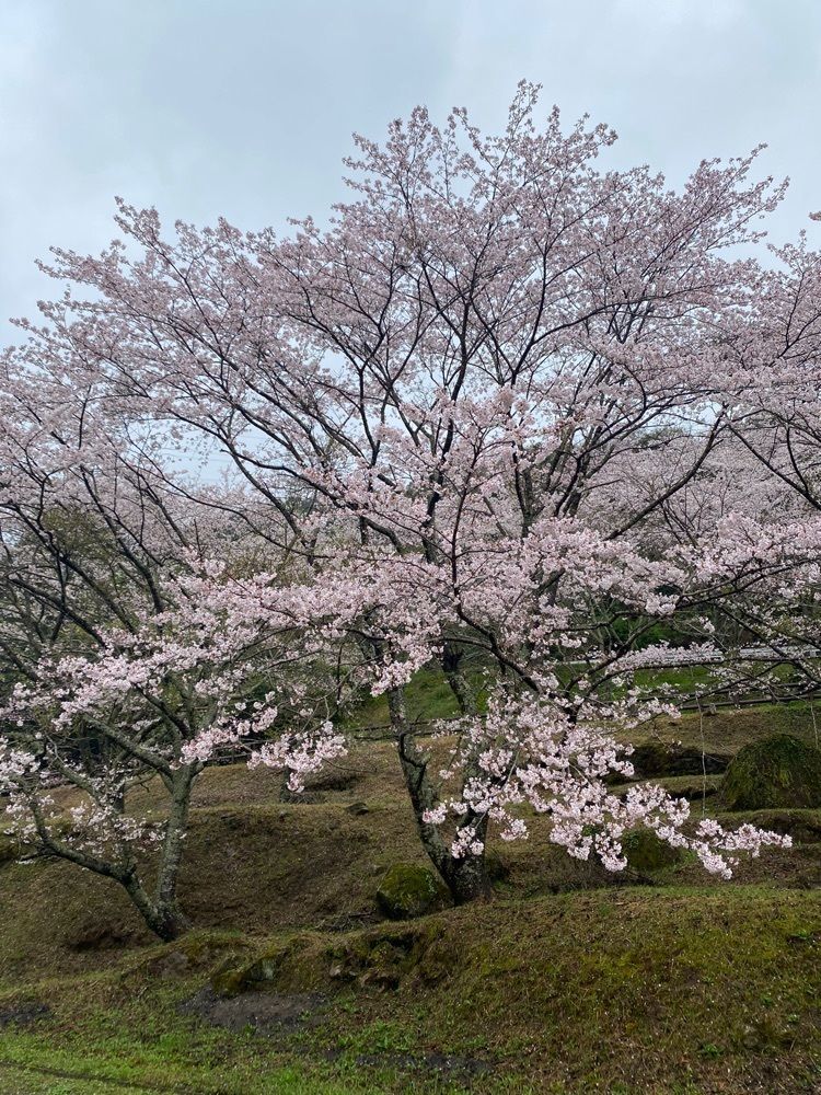 Rhapsodyさんが投稿した亀川ダムに関する口コミの画像