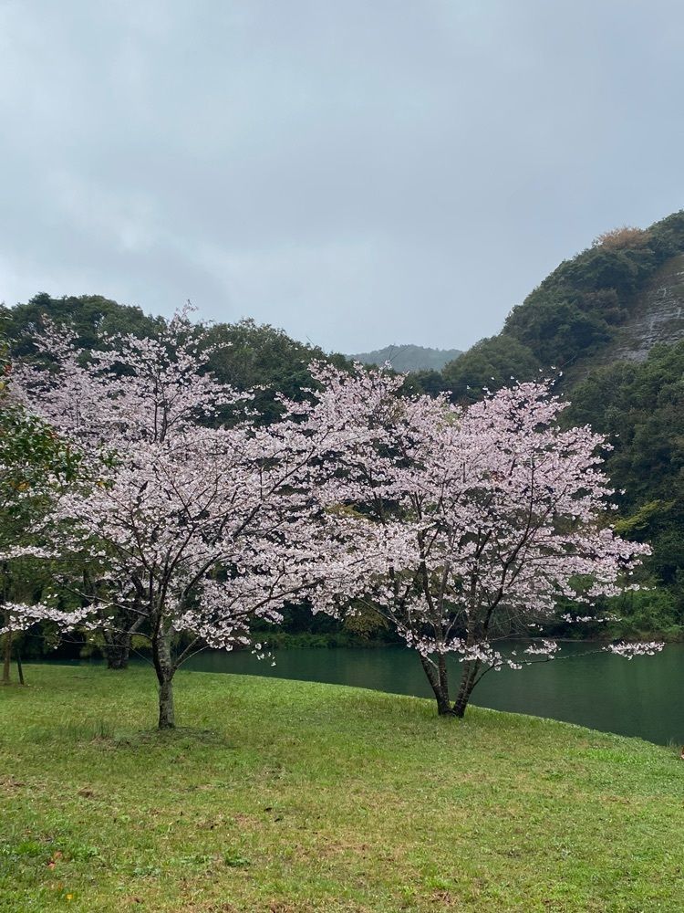 Rhapsodyさんが投稿した亀川ダムに関する口コミの画像