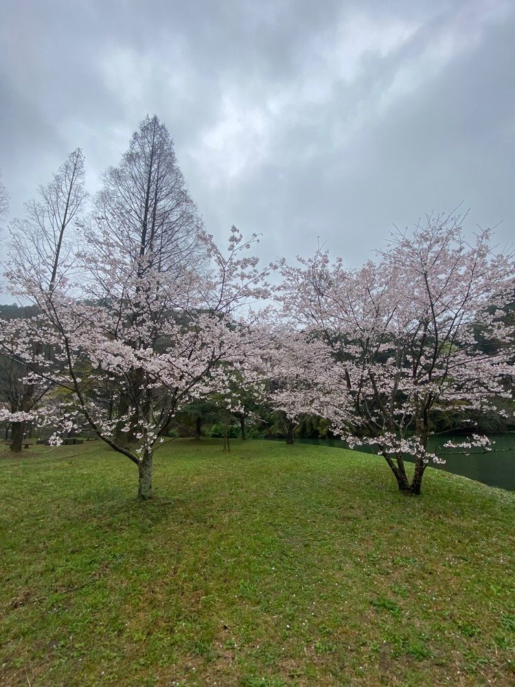 Rhapsodyさんが投稿した亀川ダムに関する口コミの画像