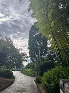 西郷山公園