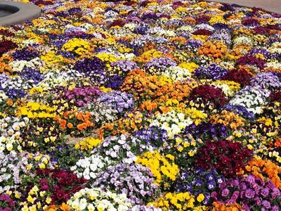 豊橋総合動植物公園 のんほいパーク 8枚目
