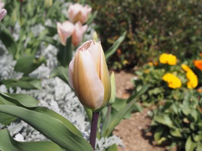 豊橋総合動植物公園 のんほいパーク 7枚目