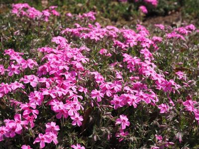 豊橋総合動植物公園 のんほいパーク 6枚目