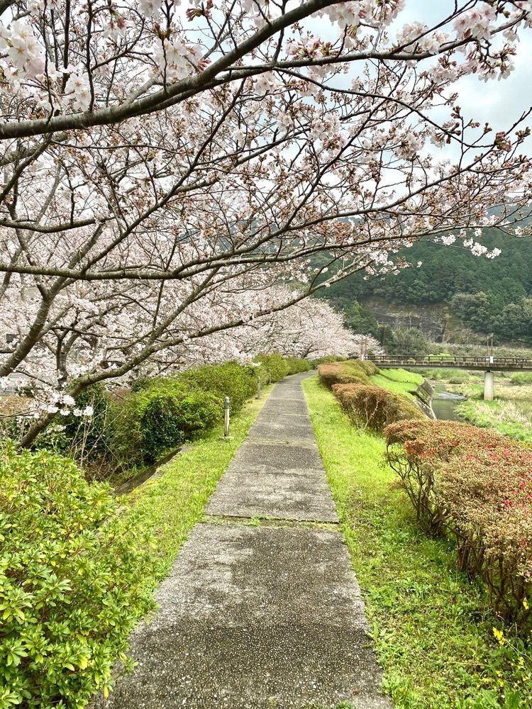 Rhapsodyさんが投稿した天草コレジヨ公園に関する口コミの画像