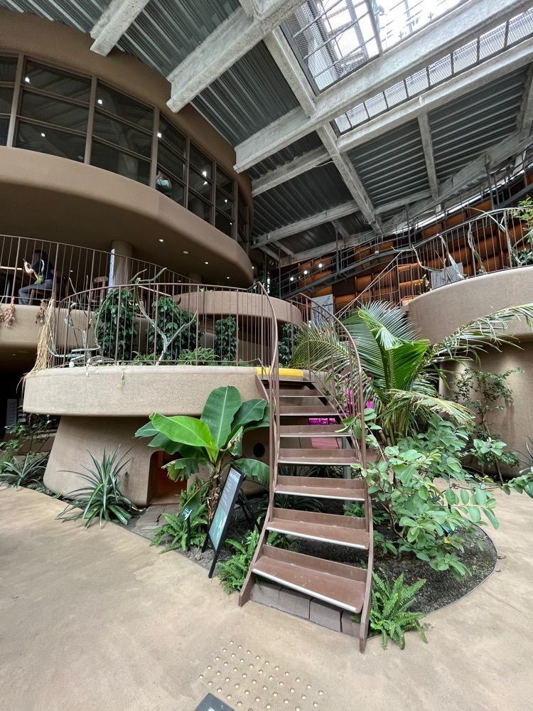 MakiMatsumuraさんが投稿した渋谷区ふれあい植物センターに関する口コミの画像