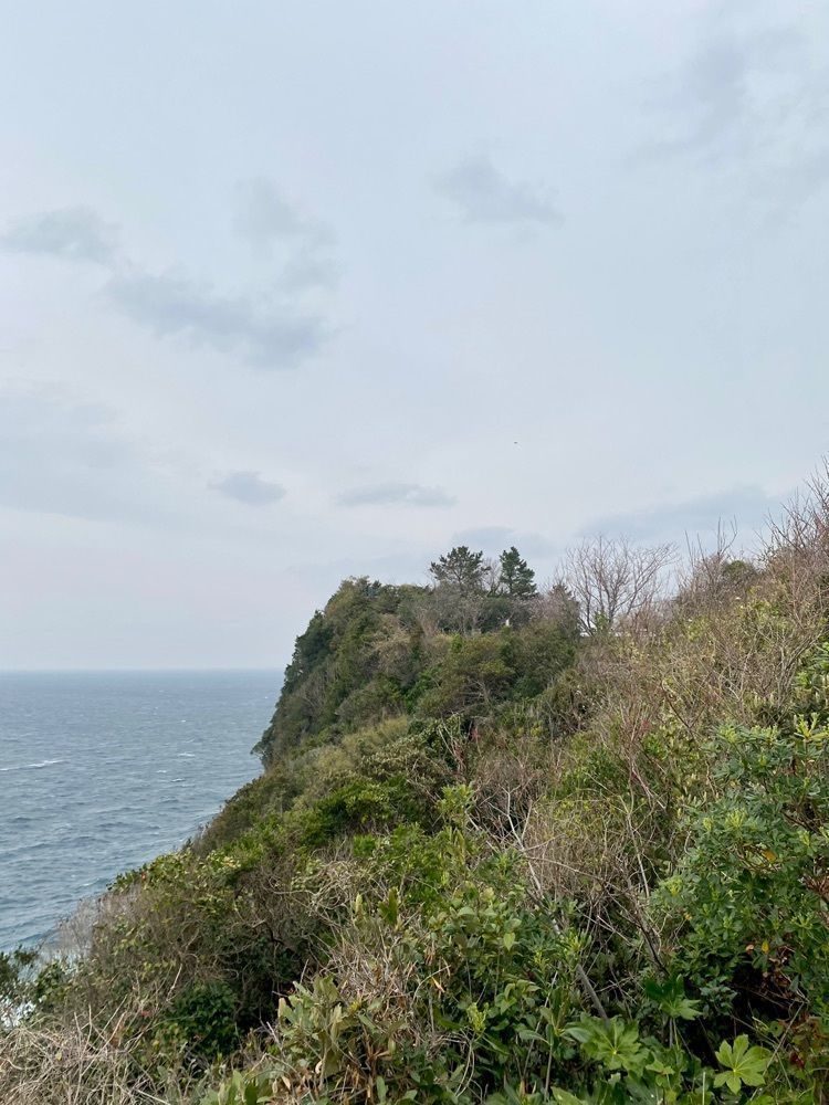 Rhapsodyさんが投稿した十三仏公園に関する口コミの画像
