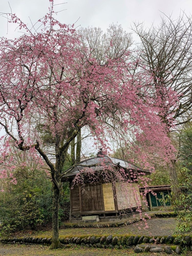 formal_cafeteria_8688さんが投稿した三ヶ所神社に関する口コミの画像