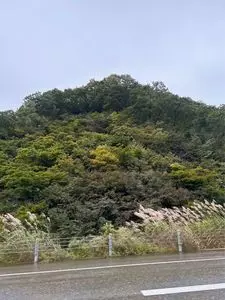 苗場高原