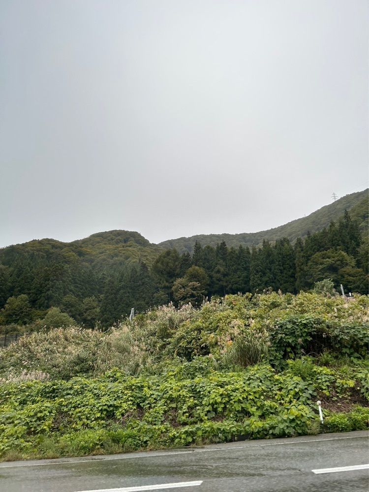 からっ風②さんが投稿した苗場高原に関する口コミの画像