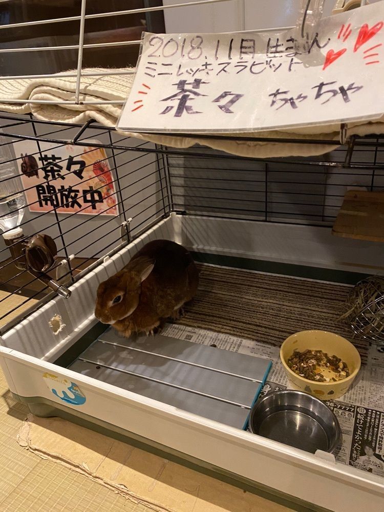 けんけんさんが投稿した深大寺天然温泉 湯守の里に関する口コミの画像