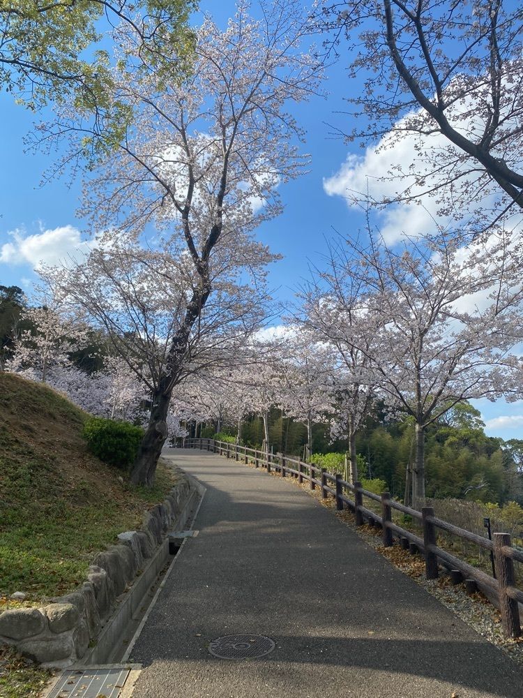 Rhapsodyさんが投稿した志免鉱業所跡竪坑及び第八坑関連地区に関する口コミの画像