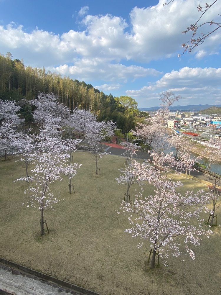 Rhapsodyさんが投稿した志免鉱業所跡竪坑及び第八坑関連地区に関する口コミの画像