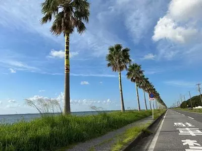 袖ケ浦海浜公園
