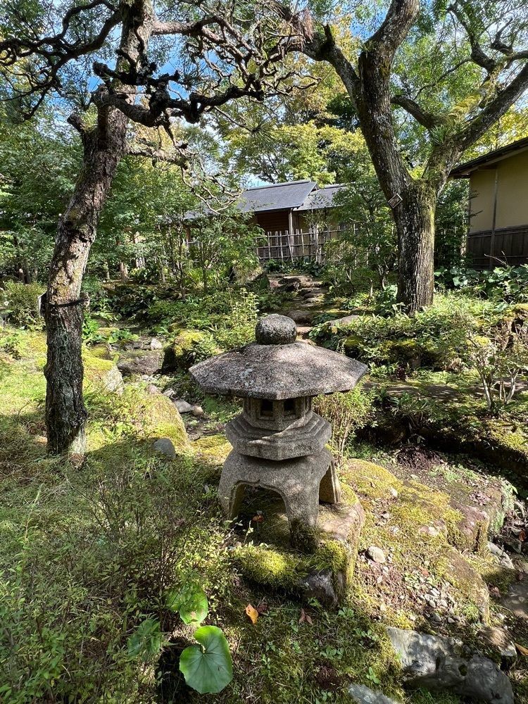 ビンカさんが投稿した茶室 おおすみ山居（オオスミ サンキョ）に関する口コミの画像
