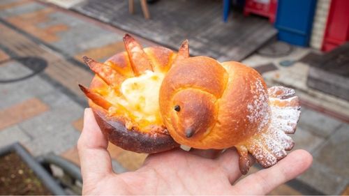 施設画像