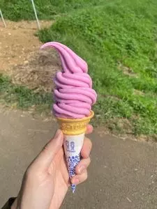 ブルーベリー明野