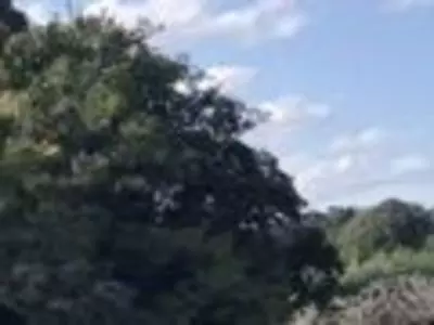 坂田ヶ池総合公園