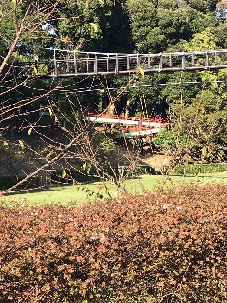 nostalgic_tourism_1541さんが投稿した坂田ヶ池総合公園に関する口コミの画像