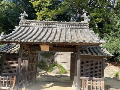 さざなみ茶屋 5枚目