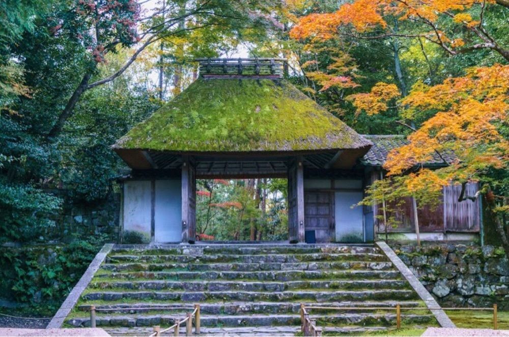 DJゴン太の画像