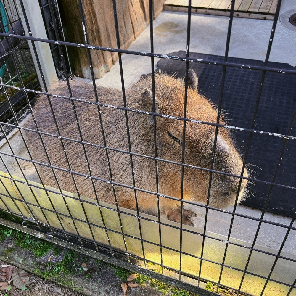MIEさんが投稿した高岡古城公園（城址跡）に関する口コミの画像
