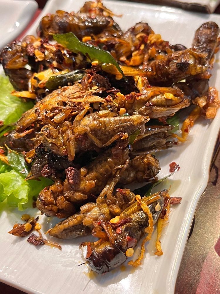 東京グルメ😋さんが投稿したババfeel 焼鴨（BaBa Feel）に関する口コミの画像