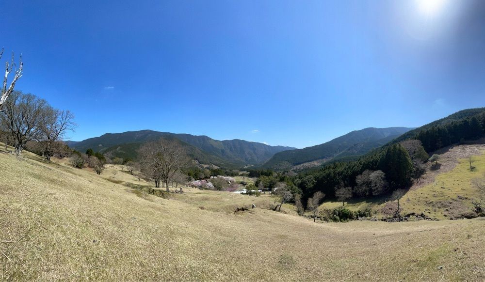メリーさんが投稿した山本牧場に関する口コミの画像