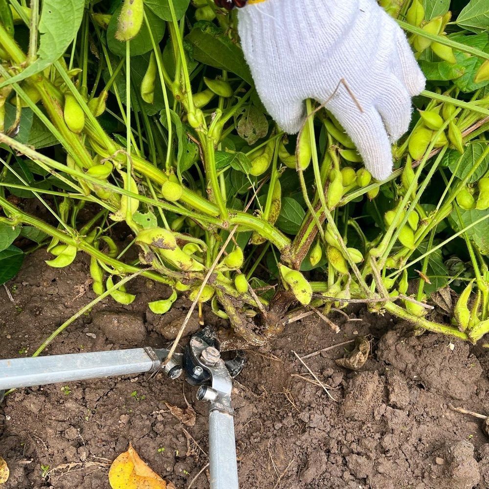 ruujunさんが投稿した農事組合法人　丹波たぶち農場に関する口コミの画像