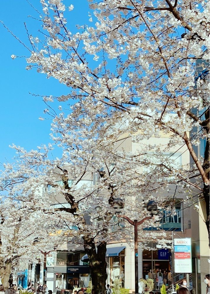 active34さんが投稿したMONCEAU FLEURS 自由が丘本店に関する口コミの画像
