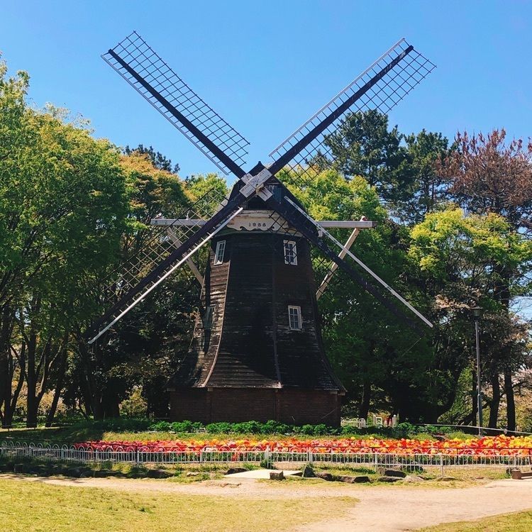 リモネさんが投稿した名城公園に関する口コミの画像