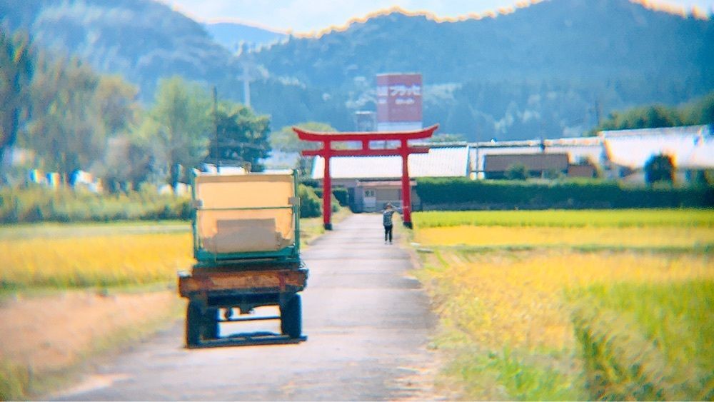 兎きちさんが投稿した菅原神社（西川北）に関する口コミの画像