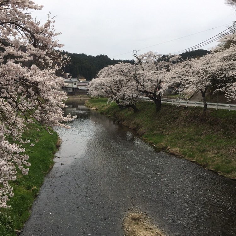 渡邉 武嗣さんが投稿したあさひ公園に関する口コミの画像