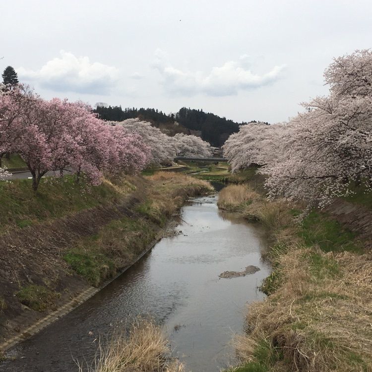 渡邉 武嗣さんが投稿したあさひ公園に関する口コミの画像