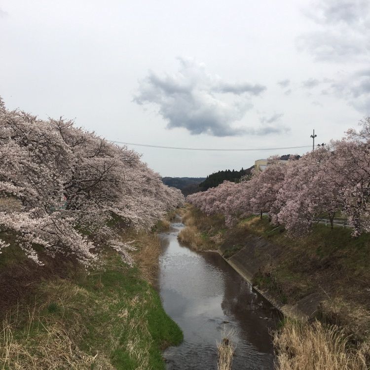 渡邉 武嗣さんが投稿したあさひ公園に関する口コミの画像