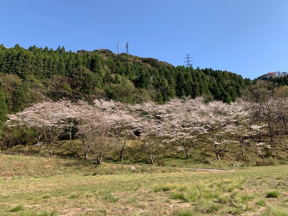 formal_cafeteria_8688さんが投稿した佐伯市床木ダム緑地広場に関する口コミの画像