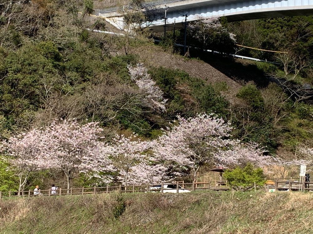formal_cafeteria_8688さんが投稿した佐伯市床木ダム緑地広場に関する口コミの画像