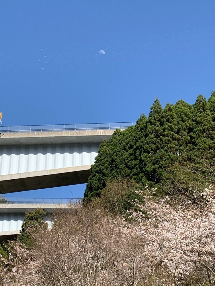 formal_cafeteria_8688さんが投稿した佐伯市床木ダム緑地広場に関する口コミの画像