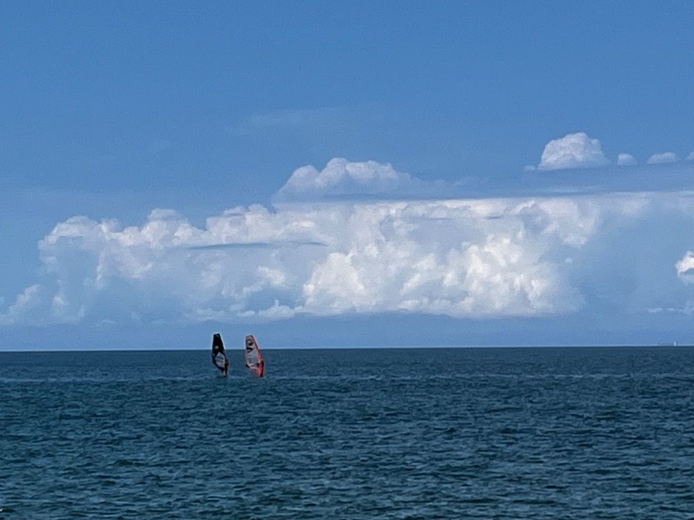 しろくまグルメ🐻‍❄️さんが投稿した小針浜海水浴場に関する口コミの画像
