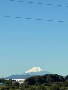 狭山市立智光山公園こども動物園