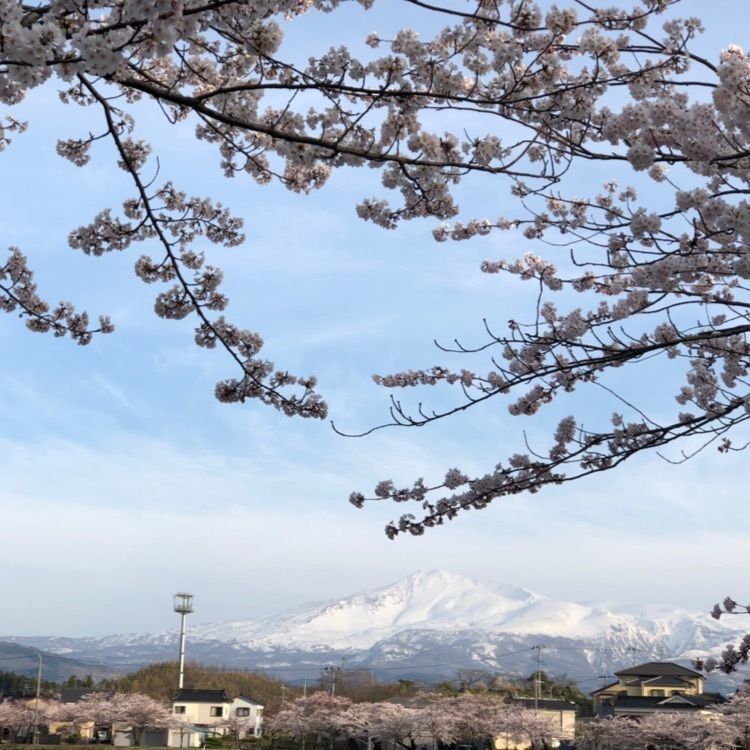 うっさでーすさんが投稿した勢至公園に関する口コミの画像