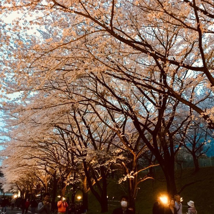 warm_park_bfa8さんが投稿した養老ランドに関する口コミの画像