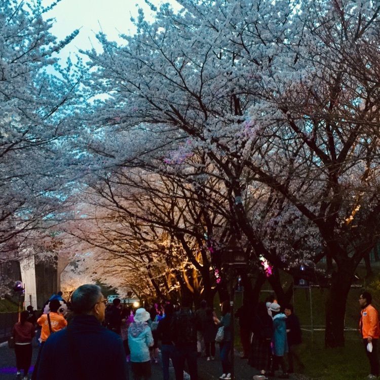 warm_park_bfa8さんが投稿した養老ランドに関する口コミの画像