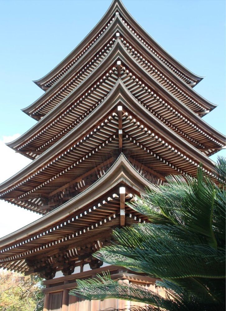 ＤＪゴン太さんが投稿した日泰寺に関する口コミの画像