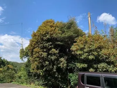 鋸山（田原山）