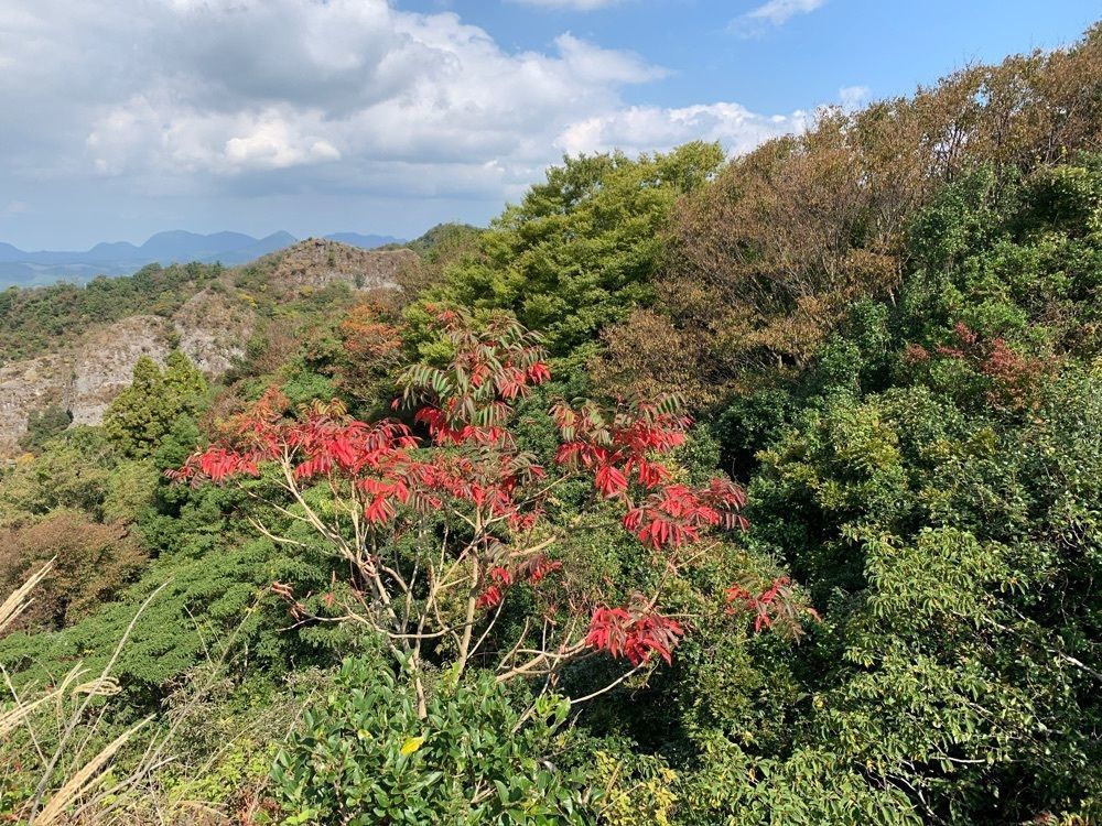 formal_cafeteria_8688さんが投稿した鋸山（田原山）に関する口コミの画像
