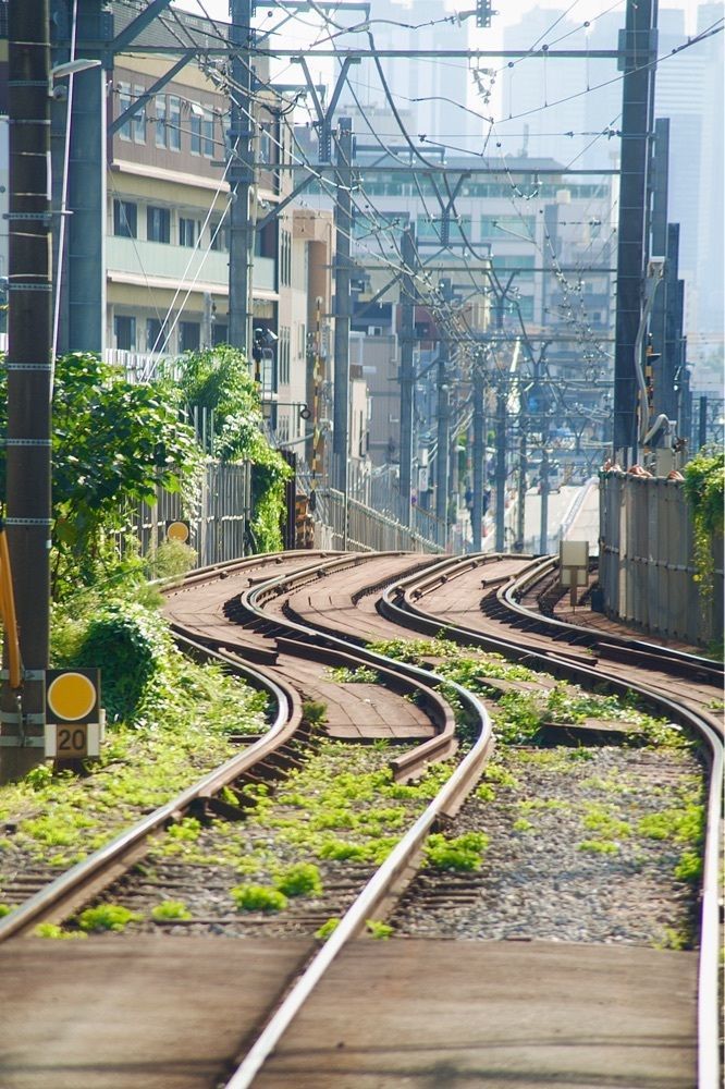 junkunさんが投稿した東京さくらトラム（都電荒川線）鬼子母神前に関する口コミの画像